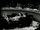 750nzf8x segment start 320x240.jpg
