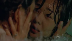 6x14sunjindrown