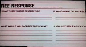 Questionnaire05