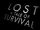 Lost: A Tale of Survival