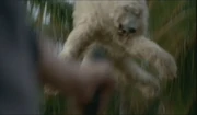 L'ours en peluche, ridicule une fois l'image mise en pause, utilisé au départ pour représenter l'ours polaire.