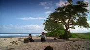 1x02 arbreSayidHurley.jpg (87 kio) Sayid et Hurley trient les batteries (Le Réveil (2/2))