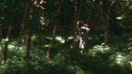 2x03-ChaseMotif