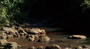 River1x13.jpg (123 KB) "Hearts and Minds"