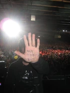 31735079.jpg (102 kio)