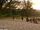 Camps des survivants