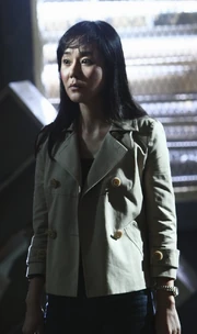 Sun trifft auf  in den 