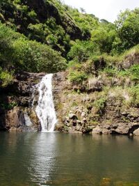 Waimea Valley Audubon Center