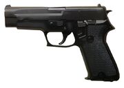 Sig Sauser P226