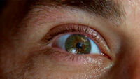 1x01-info.jpg