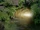 Das Licht-Thema