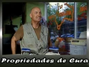 Propriedades de Cura