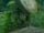 3x11 flame satellite.jpg