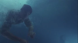 5x15-Aqueous Jackface