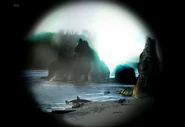 The beach