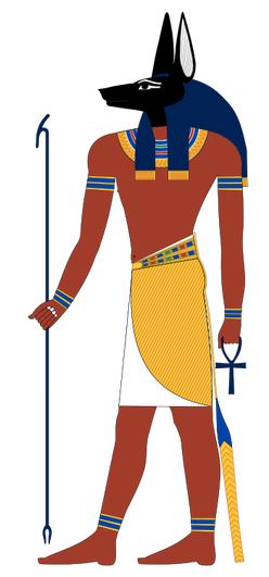 Anubis standing