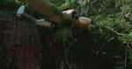 Smugglersplane.jpg