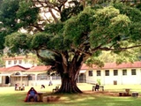 Santa Rosa Mental Health Institute