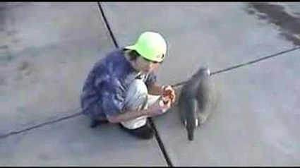 Lost_-_The_Other_Side_-3_-_The_Herb