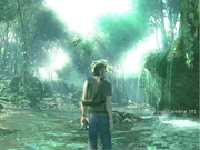 Elliott explora a cachoeira próxima ao Cisne