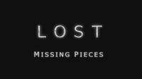 Missing Pieces2