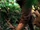2X05-TheOthers.jpg