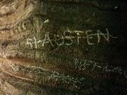 Austen crossed out