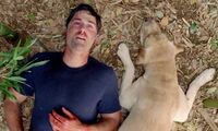 what happened to the dog at the end of lost