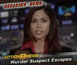 Presentadora de televisión