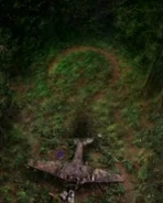 L'avion recouvre l'entrée de la Perle (Sous surveillance)