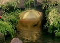The Heart of the Island
