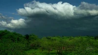 El grupo se dirige hacia la selva, mientras una tormenta les sigue
