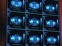 Pregnancies#Fertility and pregnancy issues on the Island