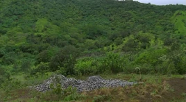 AusgangLuftroehrenpost