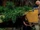1X21-SayidLockePlane.jpg
