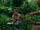 1x13 locke boone.JPG