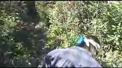 Lost_-_The_Other_Side_-2_-_Aftermath