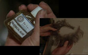 Fake beard and glue.jpg