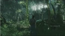 Viadomus jungle