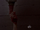 5x16 Grip.png