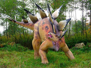 Stegosaurus