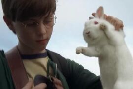 Ben sort son lapin blanc de son sac