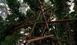 Trebuchet, uma arma não tão avançada.