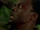 3x05-EkoAttacked.jpg