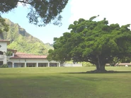 sur le tournage du Santa Rosa