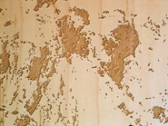 IMG 5842.jpg (139 kio)