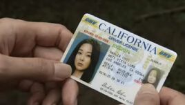 Sun driver license