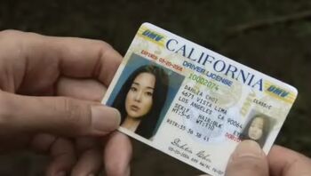 Sun driver license