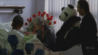The Chinese ambassador with the offered panda.