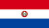 Paraguay flag 1